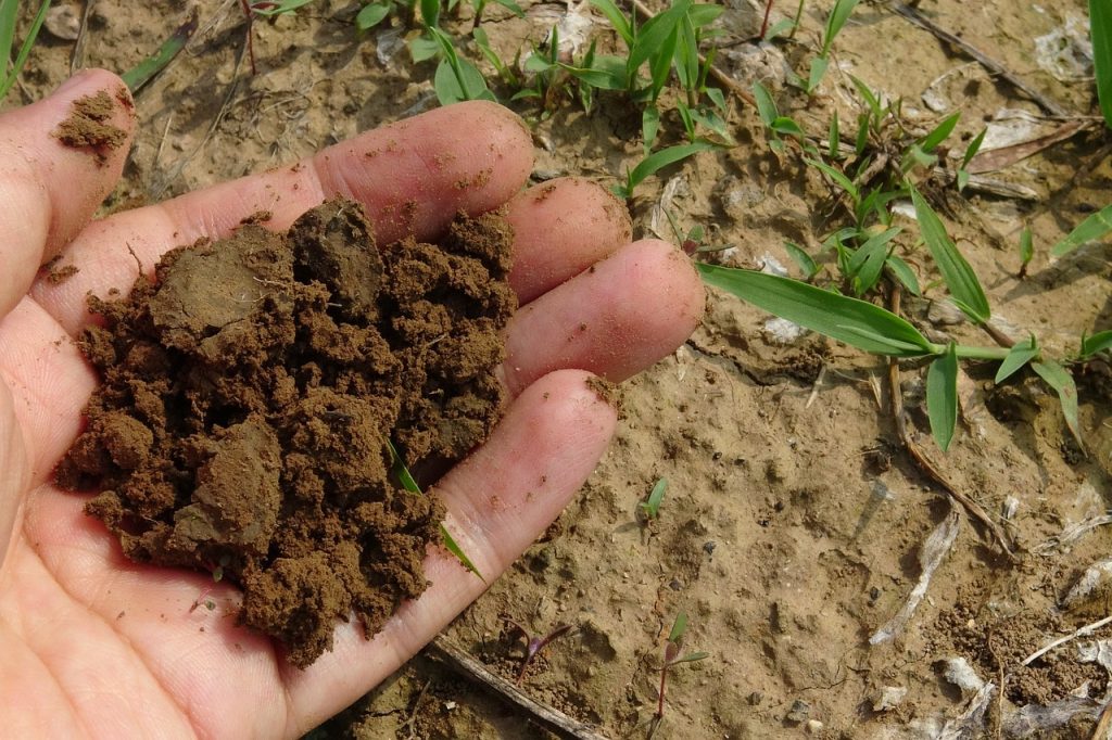 vermicompost unit pulwama