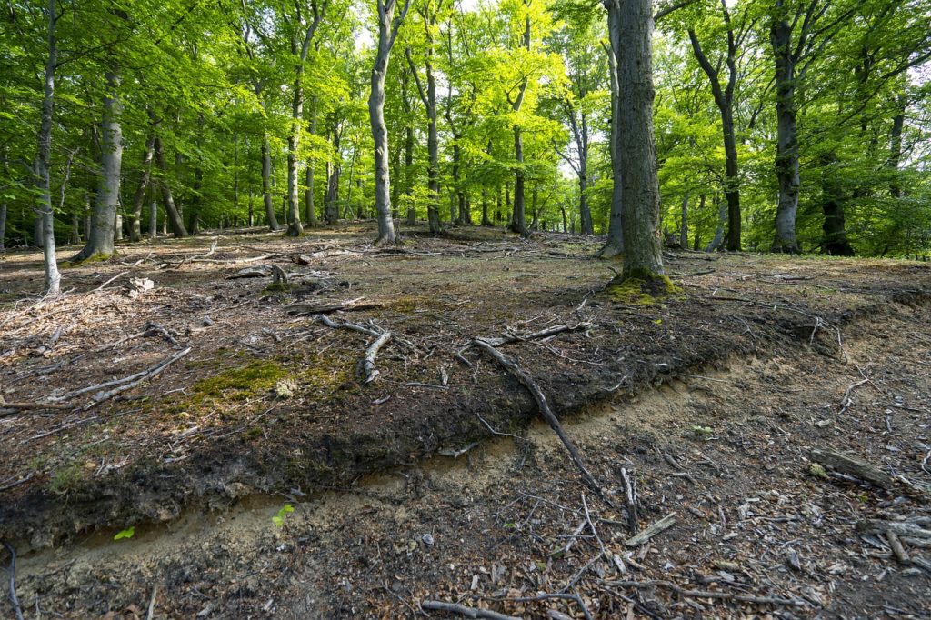 types of soil in jammu and kashmir