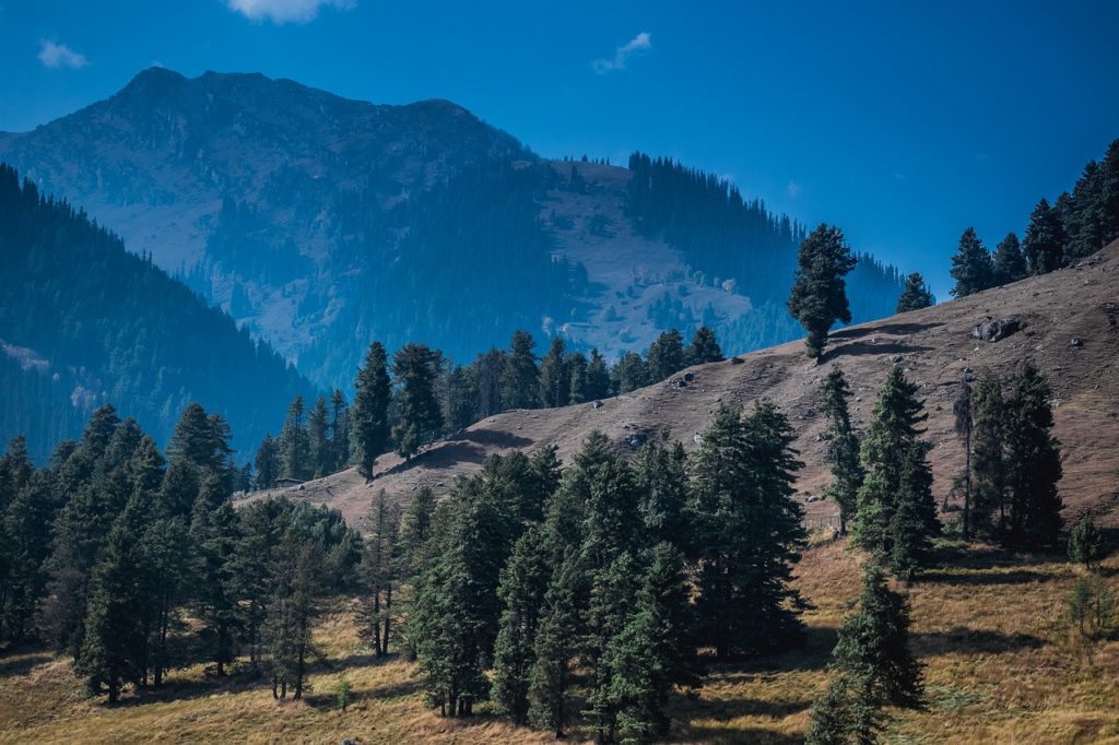 Pahalgam tourist destination in Jammu and Kashmir