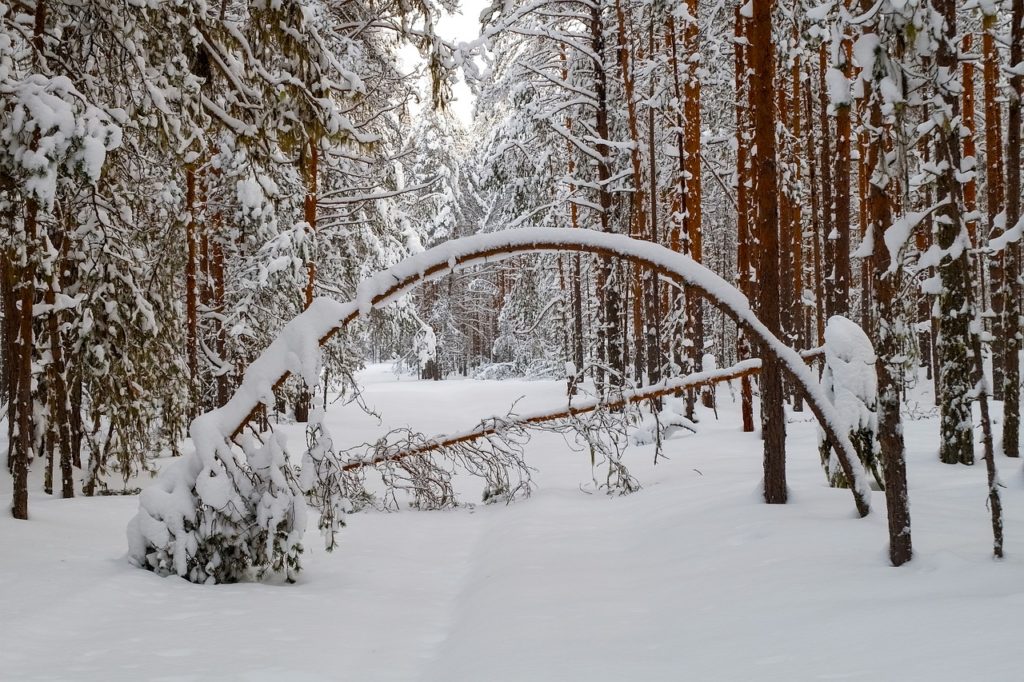 heavy snowfall places in kashmir