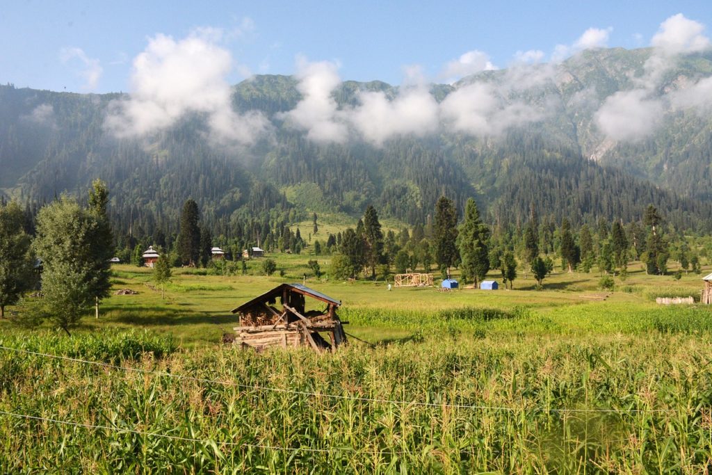 official languages of Jammu and Kashmir