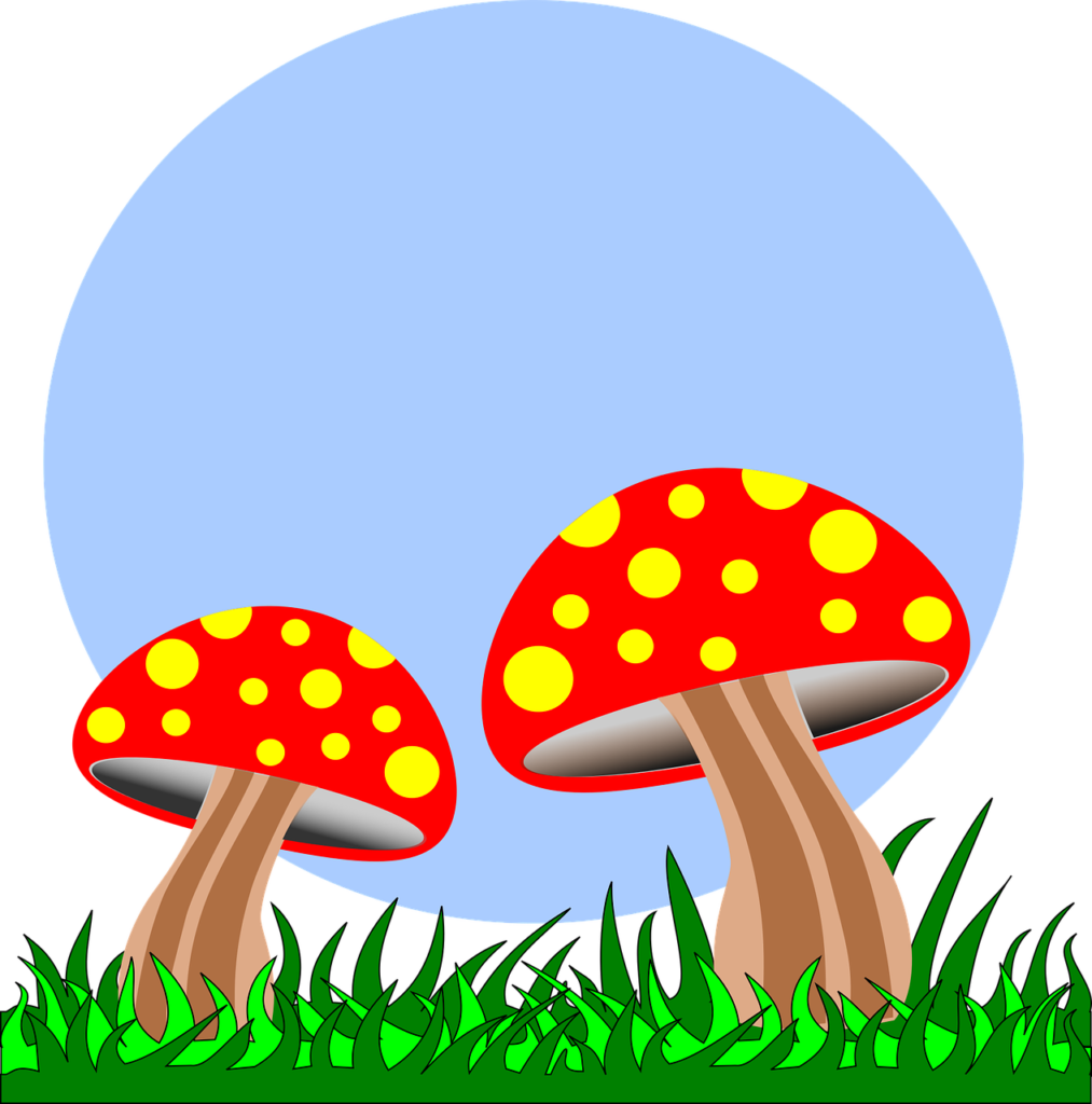 cultivation of exotic mushrooms