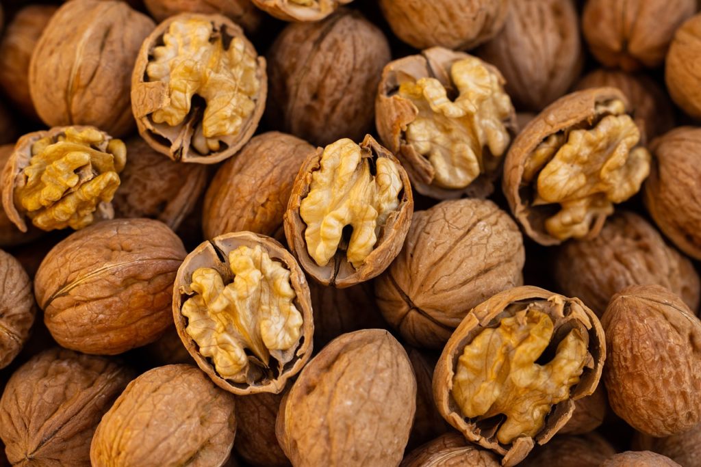 walnut farming in Kashmi