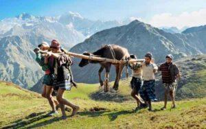 Gujjars Carrying Buffalo nomadic life in high-altitude pastures