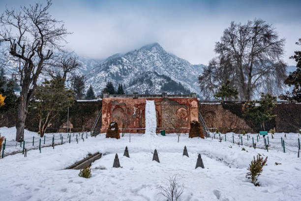 kashmir-mughal-garden-winter-snow-mountains