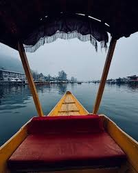 shikara-view-from-inside-dal-lake